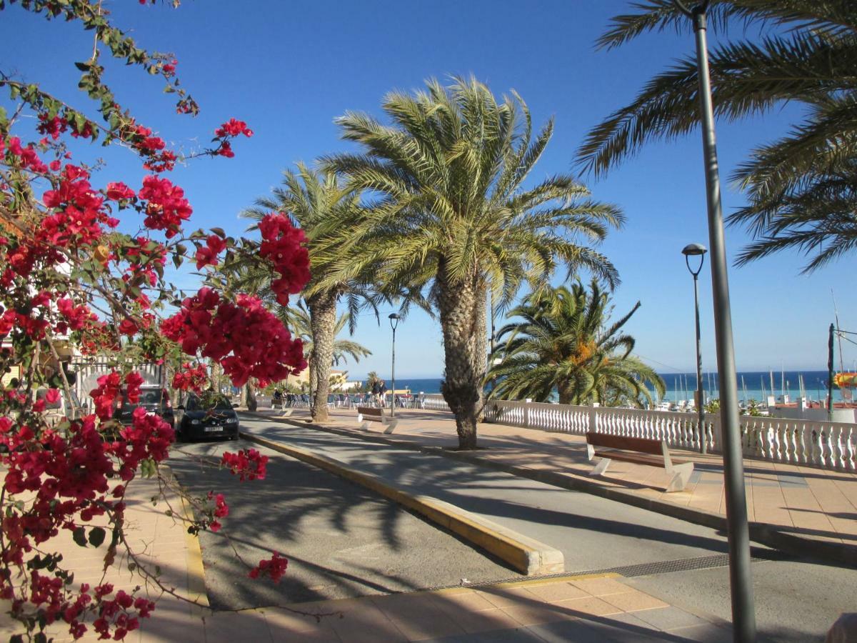 Playa Elisa Bay Lägenhet Pilar de la Horadada Exteriör bild